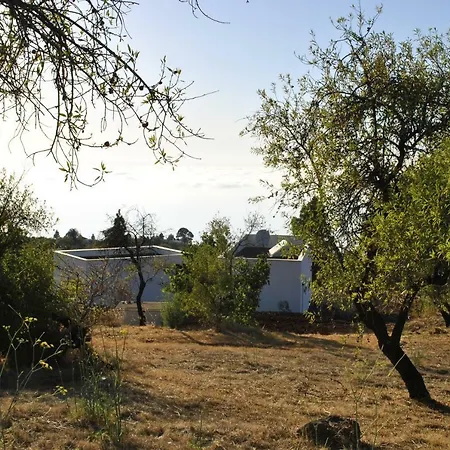 Villa Horizonte Puntagorda  Exterior photo